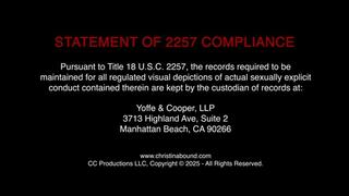 Dumber Than The Plumber