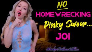 No Homewrecking Pinky Swear JOI