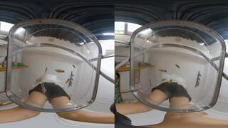 3DVR180 LELE hip POV crush dwarf smell