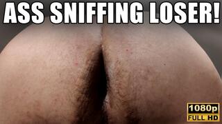 KingMarti: Ass Sniffing Loser - Full HD 1080p - MOV