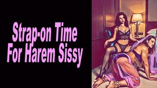 Purple Velvet Panty Stealing Harem Sissy Caught Claimed and Pegged