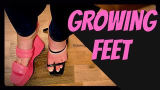 BBW Ever Growing BIG Feet