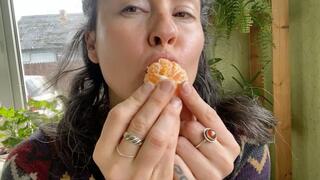 swallow whole slices mo