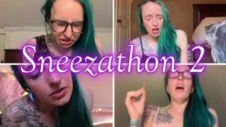 Sneezathon 2 *wmv*