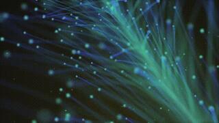 Drained By Tits *wmv*