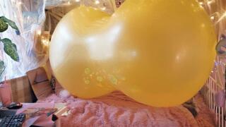 [EPIC] Mariette BTP's yellow Roomtex Loonster - 480p