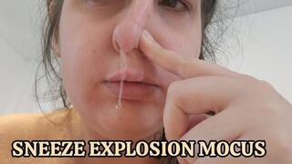 Allergy Attack Sneeze Overload: Explosive Fits & Runny Mucus from Weather Change Chaos