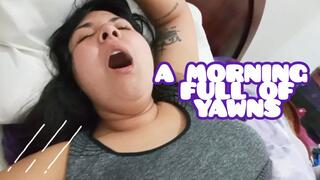 A morning full of yawns