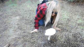 Mushroom Hunting in the Forest MP4 (1920x1080) FHD