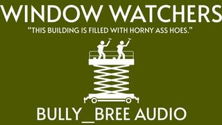 Window Watchers Audio