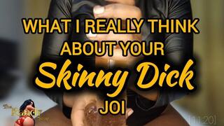 WHAT I REALLY THINK ABOUT YOUR SKINNY DICK - JOI