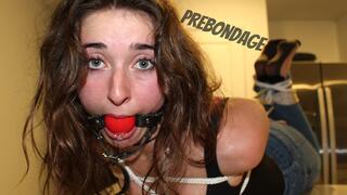 Ana Lynn - The House Wife