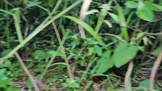 Tiny men hide from their giant mistress but are found and crushed (1)