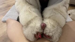 Wet FurFetish and Cum on Fur - enjoy fetish handjob, blowjob with furhat and big foxfurcoat