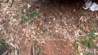 This is the camera man’s FAVORITE video EVER! It has EVERYTHING!