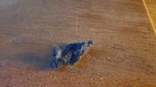 Giantess micro adventure time