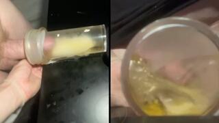 Pissing in a fleshlight helped by a friend POV