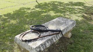 AFQ No Mercy No Safeword bullwhipping outdoors by Milah