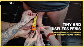 Tiny and Useless Penis: Three Goddesses Humiliate the Ridiculous Little Thing of the Submissive (1080 EN SUB) - Small Penis Humiliation - Femdom - CBT - Submissive - Slave Training