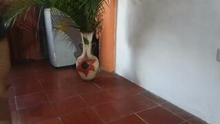 Roxan scratching insistently (3)