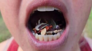 Giantess Swallows The Whole Family