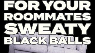 Faggot For Your Roommates Black Smelly Balls Fetish Humiliation Audio Only