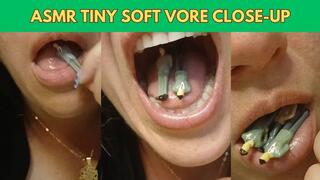 ASMR Tiny Soft Vore Close-Up