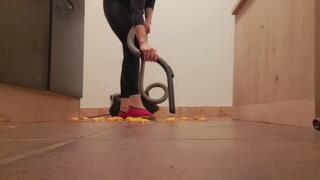 Vacum cleaner sucking up 40 eggs