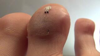 Kneel And Worship Your Goddess!