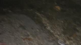 Anna's Litters Greasy Fastfood Wrappers and Cigarette Packs into the Ocean