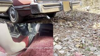 DOUBLE FEATURE! Tbird AND Buick revving!