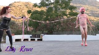 Mistress Lady Renee - slutty show pony - mp4