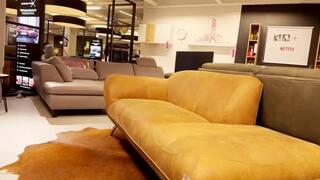 Risky Public Fun and Sex - risky play in furniture store with a fluffy Teddy