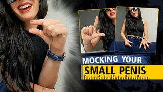 Mocking your small penis