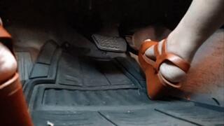 Brown Wedge Driving & Flooring