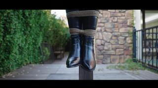 YT3003 The Suffering of Boya