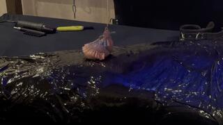 mummification piercing cbt smoking human ashtray gasmask