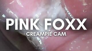 Creampie Cam