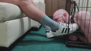 Caged Slave Serving Sneakers, Socks, Feet