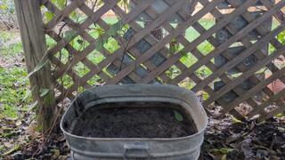 Fifi loses a pair of clear light blue high heels in a bin of deep mud