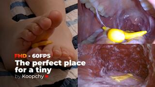 [FHD 60FPS] - The perfect place for a tiny - ENDOSCOPE VORE