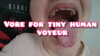 Vore Punishment for Tiny Voyeur - 720 Standard HD Version
