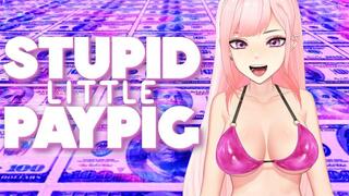 Stupid Little Paypig
