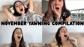 November yawning compilation