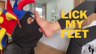 Court jester, come worship my feet!