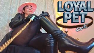 Loyal Pet crotch and boot lover- Reinaleather in pantyhose and mini skirt