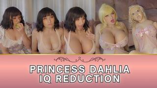 Princess Dahlia IQ Reduction and Transformation