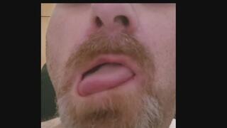 Toothless mouth of a mature bear