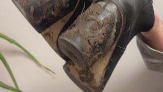 Dirty Boots Dog Walk