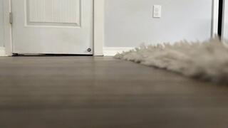 Giantess Tara turns a peeping Tom into her buttplug